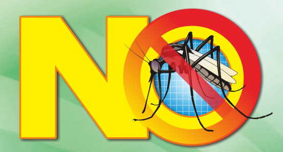 清积水，灭蚊虫，严防登革热